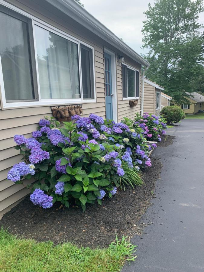 Northeaster Motel Kittery Exterior foto